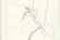 self-drawings2009002